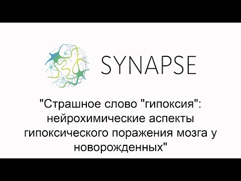 Видео: "Страшное слово "гипоксия": нейрохимические аспекты гипоксического поражения мозга у новорожденных"
