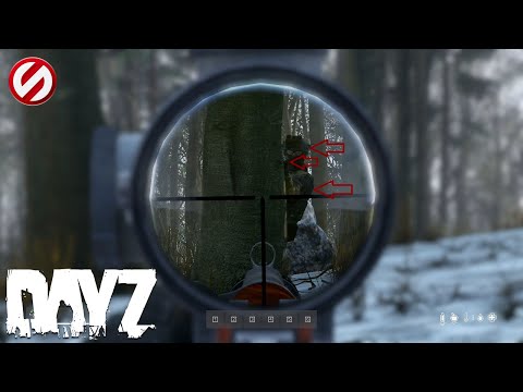 Видео: Советы по PVP в DayZ: как выжить и доминировать в боях PvP