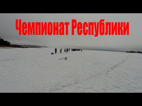 Видео: Вилейское водохранилище/Чемпионат Республики по мормышке/Первый этап ЧРБ-2023