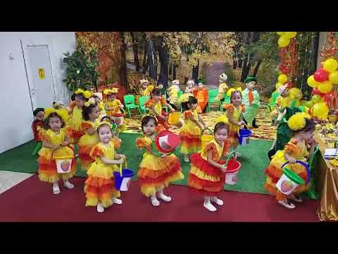 Видео: Бүлдірген биі💞💞