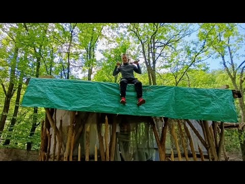 Видео: СТРОЮ МИНИ КЕМПИНГ В ЛЕСУ У ОЗЕРА #бушкрафт #bushcraft #лесноймуравей