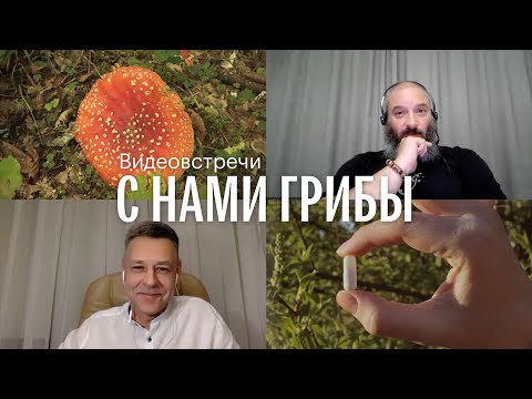 Видео: С нами грибы. Микродозинг и целеполагание. Дмитрий Долгих, Михаил Вишневский