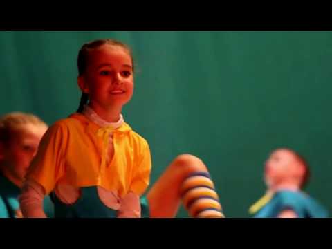 Видео: РОЗА ФИБЕР - "Топ-топ по паркету"