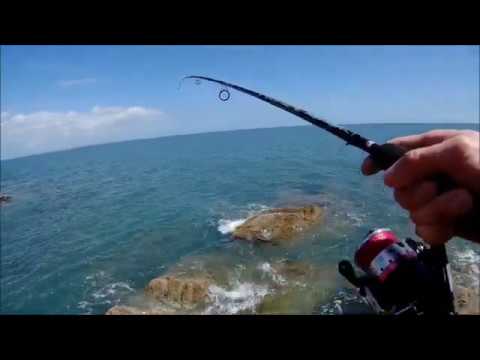 Видео: Рыбалка на море с берега 2020 . Что я поймал ???