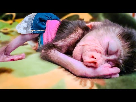 Видео: Влад может УСЫПИТЬ ЛЮСЬКУ за 53 секунды!