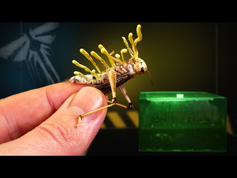 Видео: КОРДИЦЕПС НОВОЕ ЗАРАЖЕНИЕ: СТАЯ САРАНЧИ ЗАРАЖАЕТСЯ ГРИБОМ ИЗ The Last Of Us! Часть 5