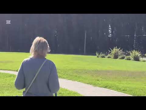 Видео: Земельные участки с правом владения в Аргентине.