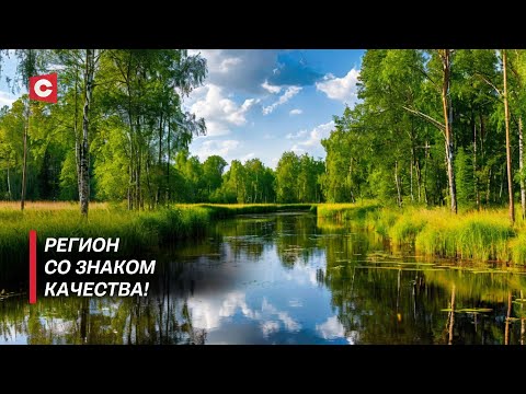 Видео: Необычный регион Беларуси! Как развивается Припятское Полесье?