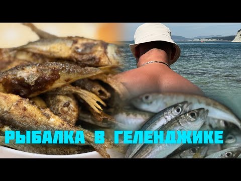 Видео: Рыбалка в Геленджике Ставрида (желтый полосатик)