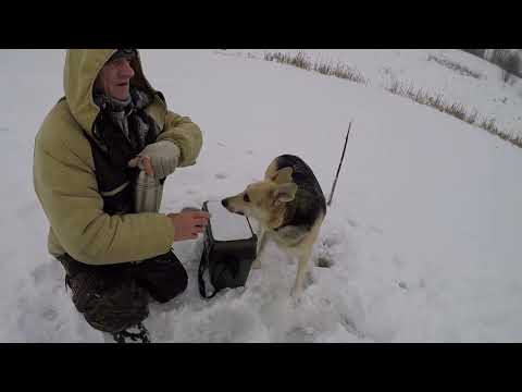 Видео: Снова с Вованом за щуками.