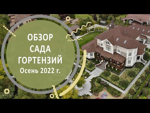 Видео: Сад гортензий осенью. Обзор сада и прогулка по саду гортензий в КП Никольские Озёра