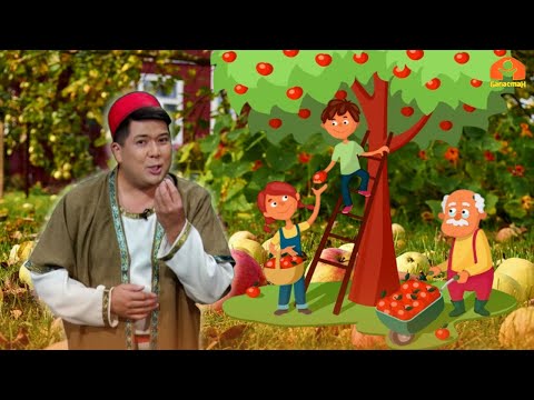 Видео: "Чарбактын жаралышы" | БӨБӨК СЕНИН ЖОМОГУҢ | 20.06.2023