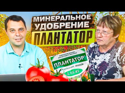 Видео: Как действует комплексное минеральное удобрение ПЛАНТАТОР на томаты в разных стадиях роста?