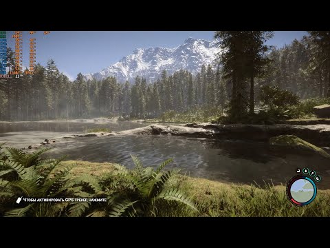 Видео: Sons of the Forest на старой видеокарте GTX 750 ti / тестирование видеокарты / Стоит ли играть?