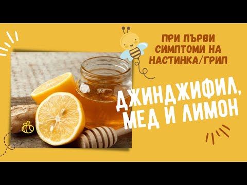 Видео: ДЖИНДЖИФИЛ, МЕД и ЛИМОН | ИМУНОСТИМУЛАТОР