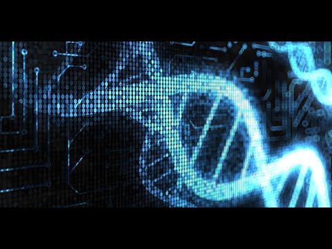 Видео: Зная эти законы, достигаешь цели всегда! Глубинный, системный коучинг. К. Прищенко. APC.