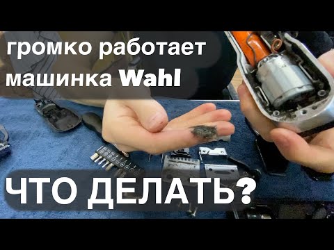 Видео: Шумит Wahl Senior Cordless / Громко работает / Как разобрать машинку для стрижки волос