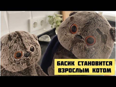 Видео: Басик становится взрослым