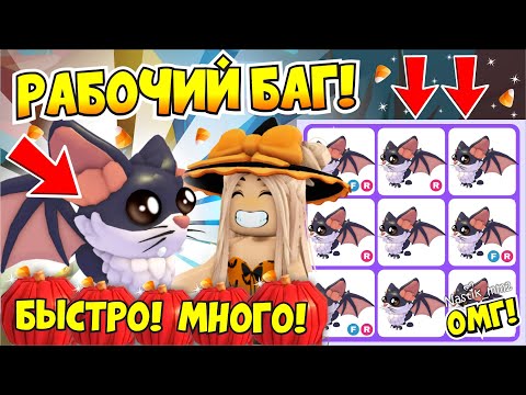 Видео: 🎃НОВЫЙ БАГ!😱 КАК ПОЛУЧИТЬ МНОГО НОВЫХ КИТТИ-БЕТОВ БЫСТРО В АДОПТ МИ🦇 КАК ПОЛУЧИТЬ МНОГО КЛУБКОВ!🧶