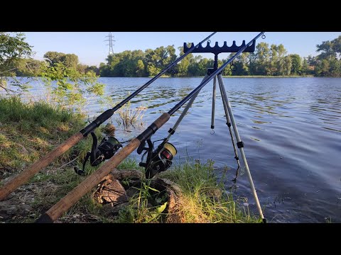 Видео: НЕ ВСТИГАЮ КИДАТИ ФІДЕР! Клюють один за одним. Ранкова рибалка на Дніпрі