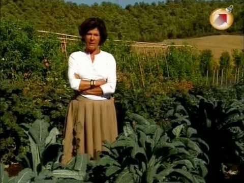 Видео: Зачарованные сады