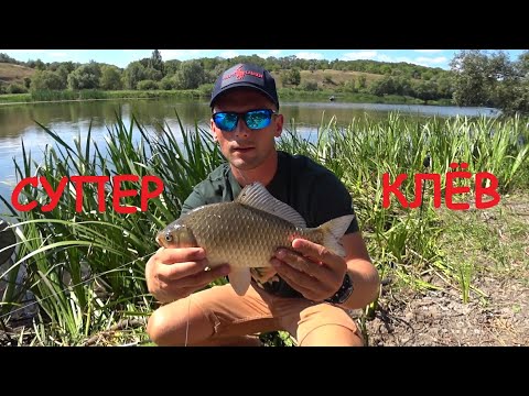 Видео: ЛОВЛЯ КРУПНОГО КАРАСЯ НА МАКУШАТНИК. ЮЖНЫЙ БУГ