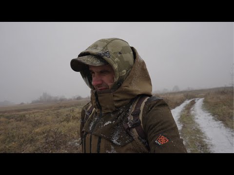 Видео: Прогулка по лесу в поисках грибов, первый снег, November is Mine