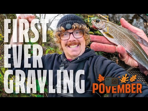 Видео: Мой первый хариус! Рыбалка на поплавок на небольшой реке