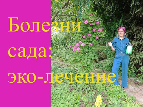 Видео: Как бороться с грибковыми инфекциями в саду безопасным способом