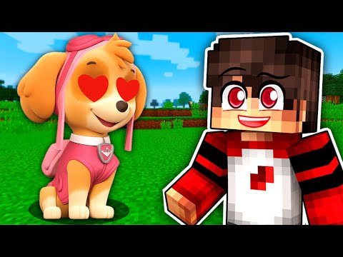 Видео: ❤️ СКАЙ ЩЕНЯЧИЙ ПАТРУЛЬ ВЛЮБИЛАСЬ в ЗЕРО В МАЙНКРАФТЕ