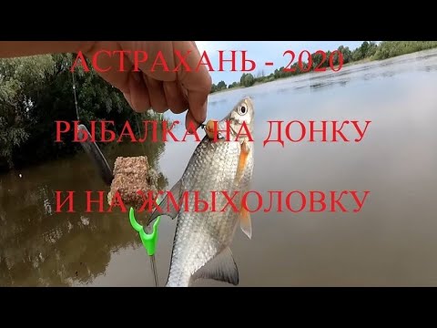 Видео: #25 Рыбалка на донку и на жмыхоловку по высокому уровню воды