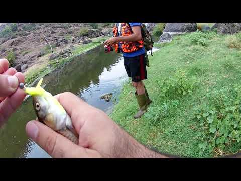 Видео: Ձկնորսություն Հայաստանում։ Թեփուղի Որս Քասախում /// Ловла Голавля на Спиннинг на Реке Касах, Армения