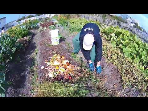 Видео: ГОТОВИМ ГРЯДКУ ОСЕНЬЮ