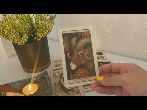 Видео: Новая любовь на пороге! 