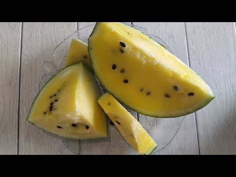 Видео: Желтомякотный арбуз-экзот ШАМПАНЬ в открытом грунте. Рекомендую!