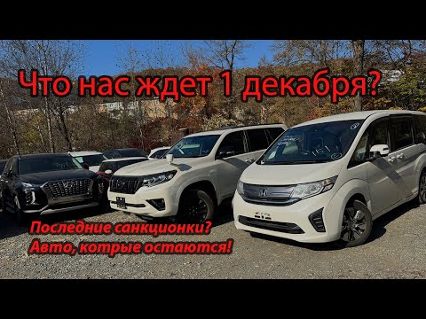 Видео: ПОСЛЕДНИЕ АВТО ИЗ ЯПОНИИ‼️😱 ЗАПРЕТ ИМПОРТА‼️ STEP ПО ЦЕНЕ ЛАДА‼️PRADO‼️YARIS‼️FREED‼️