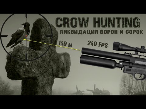 Видео: Отстрел Ворон и Сорок с PCP. Crow Hunting 2022. Кроухантинг. Jack Hunter.