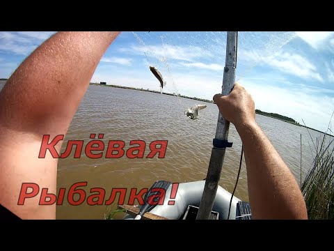 Видео: Отличный улов! Клёвая рыбалка на паук (подъемник) с лодки!  Установка для рыбалки пауком с лодки.