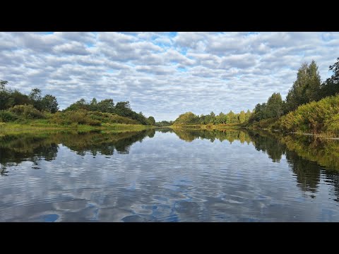 Видео: Ловля щуки на колебалку. Река Луга. Рыбалка сплавом на лодке.