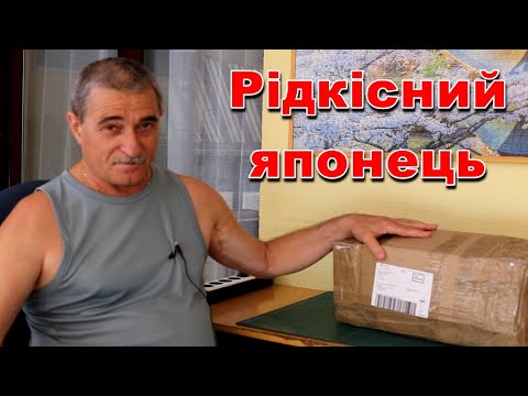 Видео: Рідкісний японець