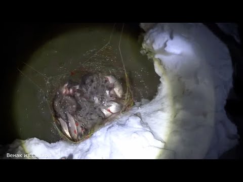 Видео: Я в шоке от этой ЛУЖИ! Столько за раз на паук я ещё не ловил! Лучшая рыбалка года!!!