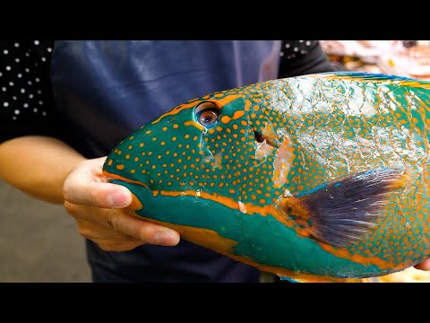 Видео: особая рыба, японские суши