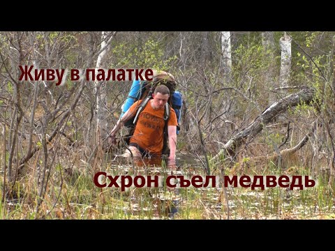 Видео: СХРОН СЪЕЛ МЕДВЕДЬ. ЖИВУ НА ОЗЕРЕ 5 ДНЕЙ В ПАЛАТКЕ. ОДИНОЧНЫЙ ПЕШИЙ ПОХОД. РЫБАЛКА НА ОЗЕРЕ.