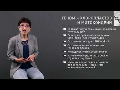 Видео: 1 8  Неядерная наследственность – исключение из правил?