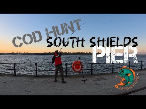 Видео: БОЛЬШИЕ МОРЕ! | ТРЕСКА | Пирс Саут-Шилдс | Октябрь 2025 | Морская рыбалка | Рыбалка с берега |