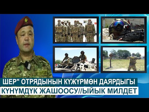 Видео: ШЕР" ОТРЯДЫНЫН КҮЖҮРМӨН ДАЯРДЫГЫ КҮНҮМДҮК ЖАШООСУ//ЫЙЫК МИЛДЕТ