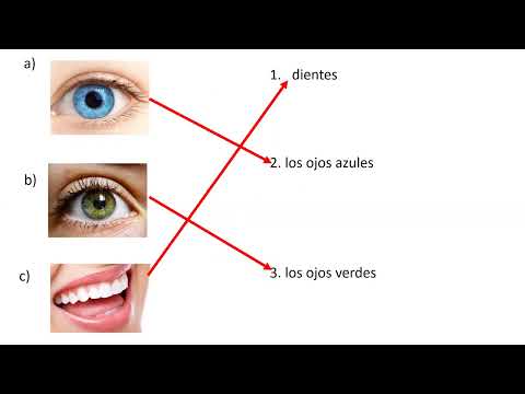 Видео: Описание внешности, характер человека La descripción fisica, carácter