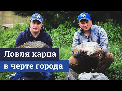 Видео: Ловля карпа весной на фидер. Флэт и кормушка для опарыша.