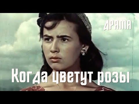 Видео: Когда цветут розы (1959) Фильм Камиля Ярматова. В ролях Сталина Азаматова, Обид Джалилов. Драма