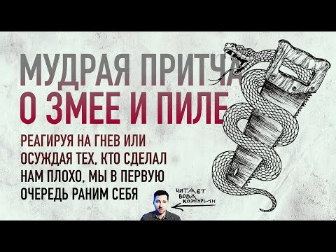 Видео: Мудрая притча о змее и пиле